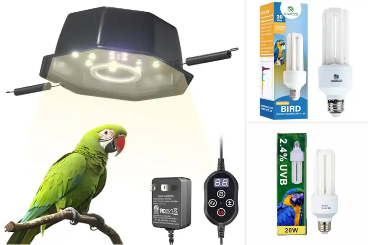Detailed view of Best Lights for Bird Behavior: Top Picks to Boost Engagement