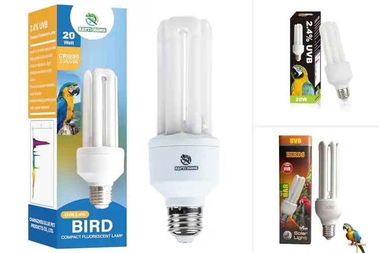 Detailed view of Best Low Fading UVB Bulb For Birds