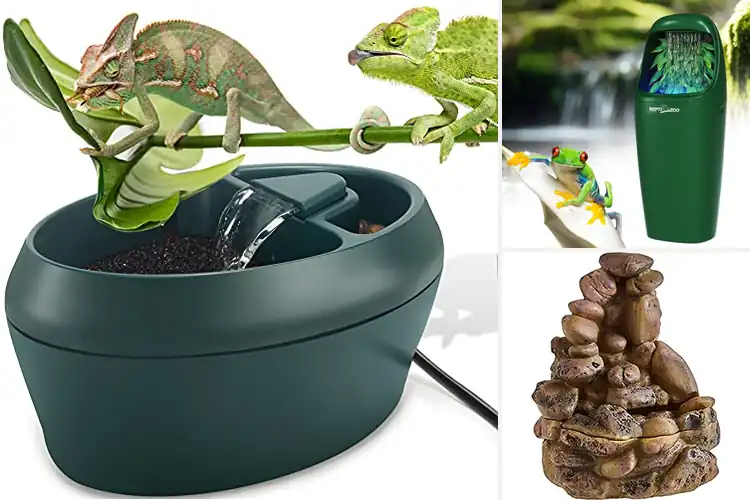 Detailed view of Best Natural Behavior Stimulators