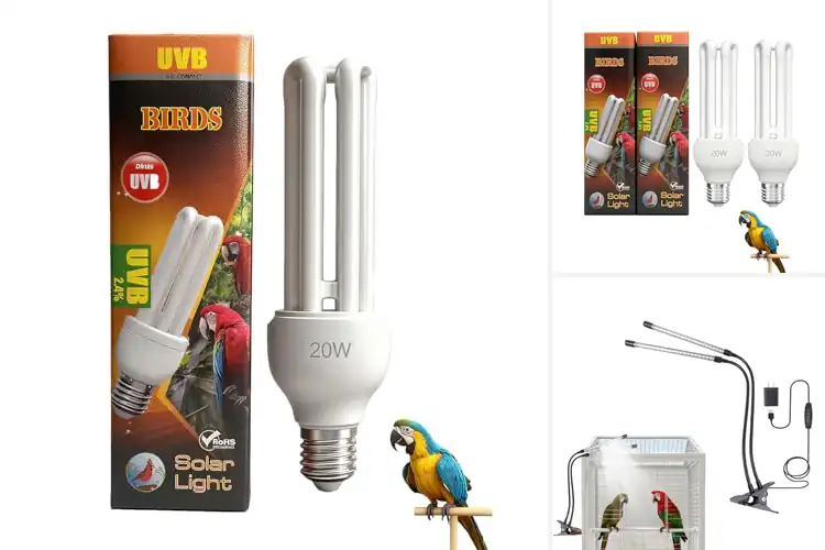 Detailed view of Best Natural Sunlight Bird Lamps