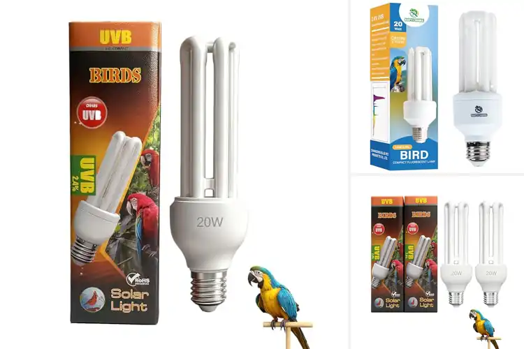 Detailed view of Best Natural Sunlight Bulbs for Birds