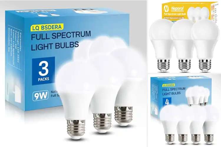 Detailed view of Best Natural Sunlight Simulation Bulbs