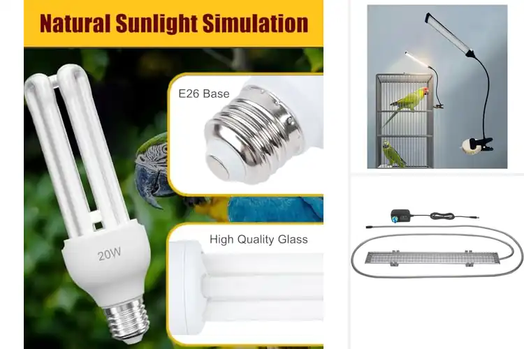 Detailed view of Best Natural Sunlight Simulation For Birds