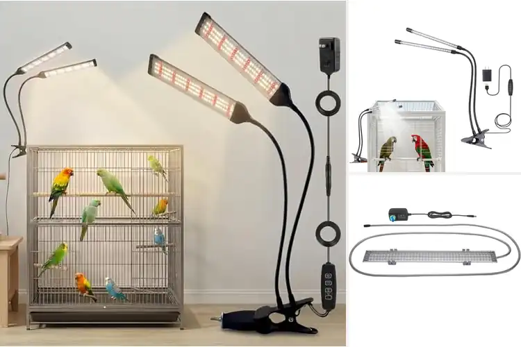Detailed view of Best Natural Sunlight Simulators for Birds