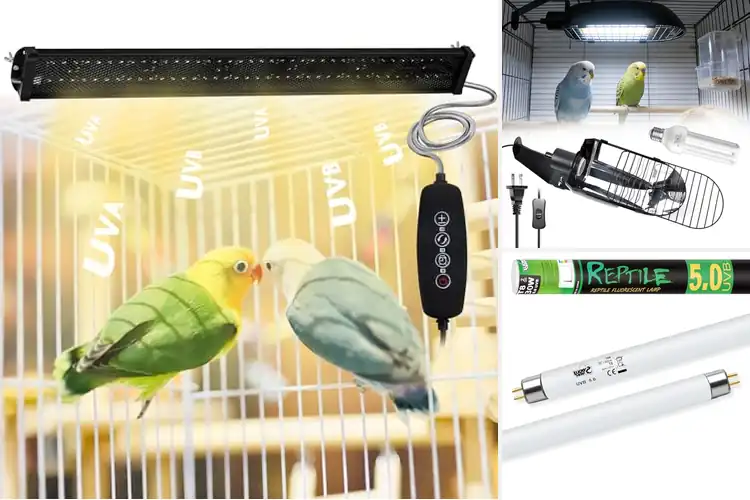 Detailed view of Best Natural Sunlight Simulators for Pets