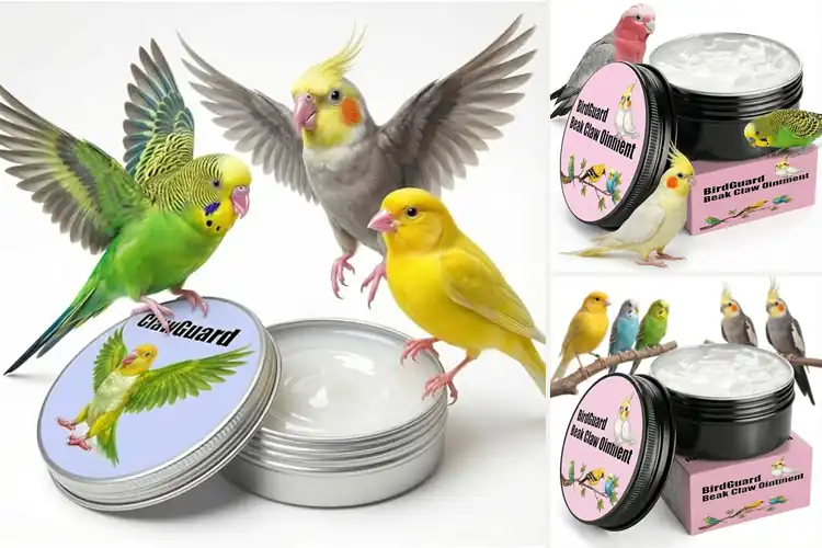 Detailed view of Best Parrot Care Products