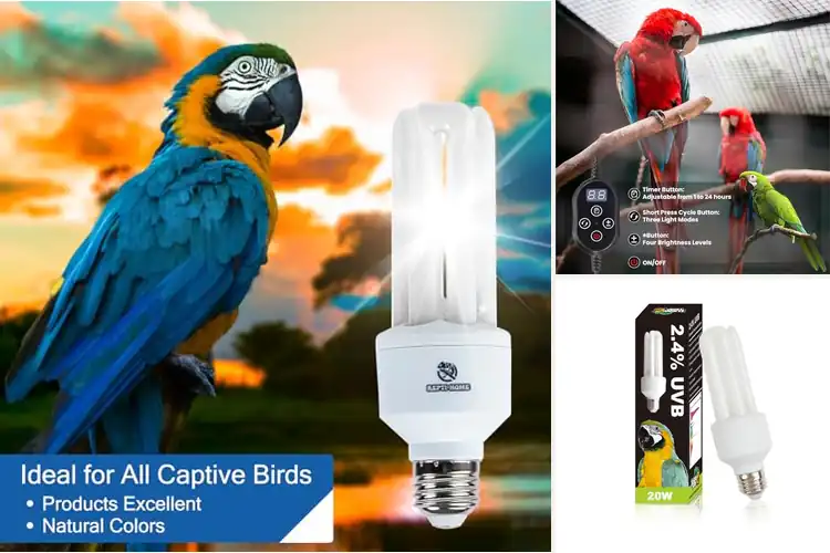 Detailed view of Best Parrot UVB Lights