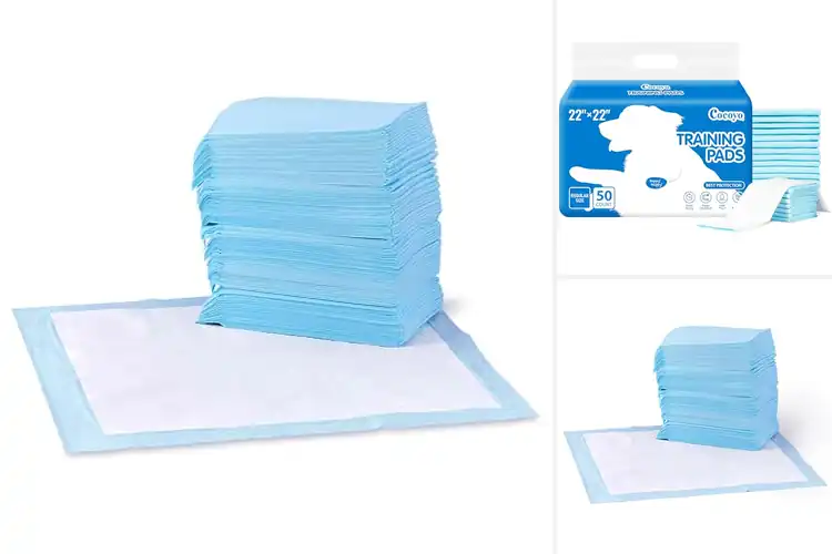 Detailed view of Best Pee Pads: Top 10 for Effortless Potty Training