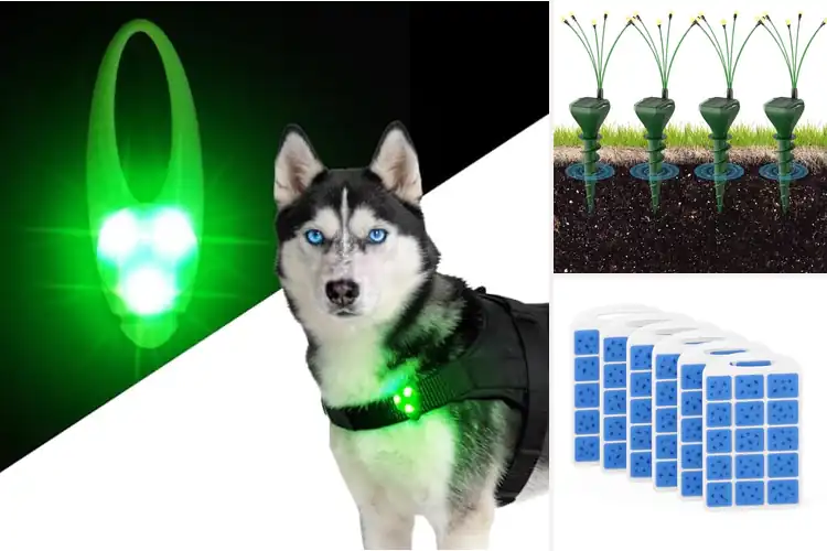 Detailed view of Best Pet Safe Lights: 6 Top Picks for Pet Safety