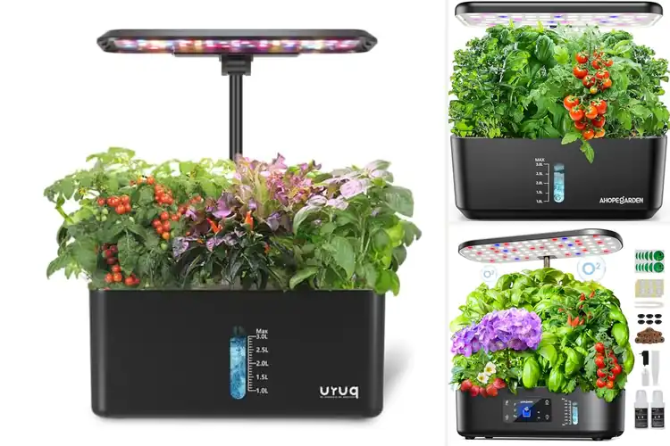 Detailed view of Best Plant Growing Kits