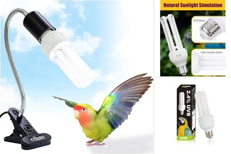 Detailed view of Best Safe And Stable UVB Bird Lighting