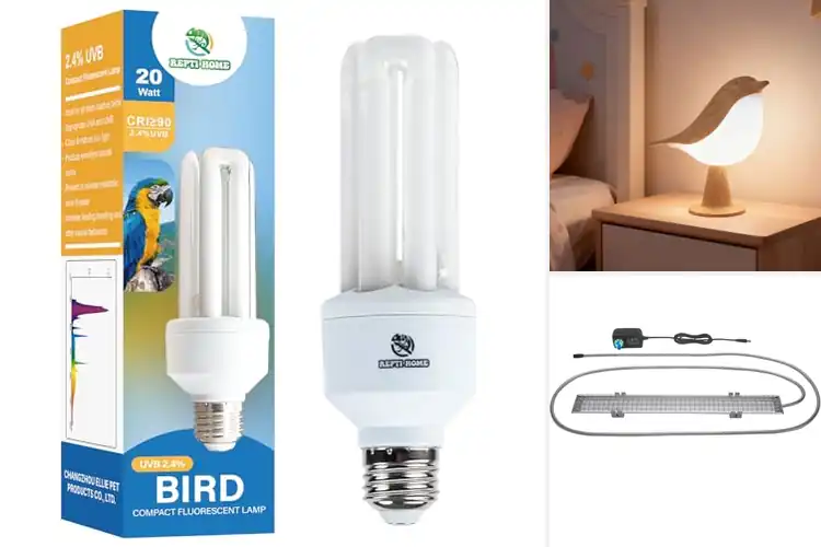 Detailed view of Best Safe Bird Lamps: Top Picks for Happy, Healthy Birds