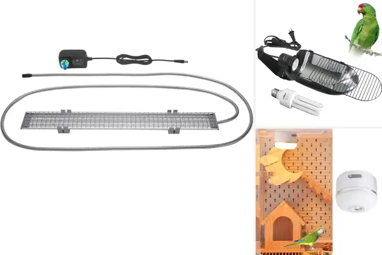 Detailed view of Best Safe Bird Lights
