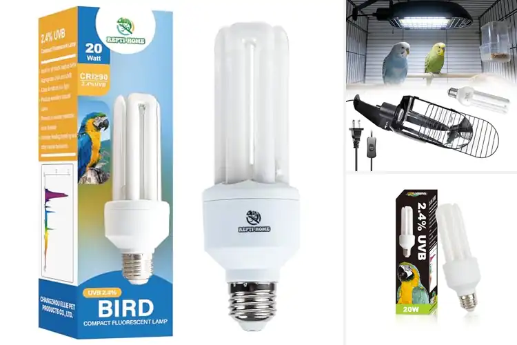 Detailed view of Best Safe UVB Lamp For Birds With Stable Output