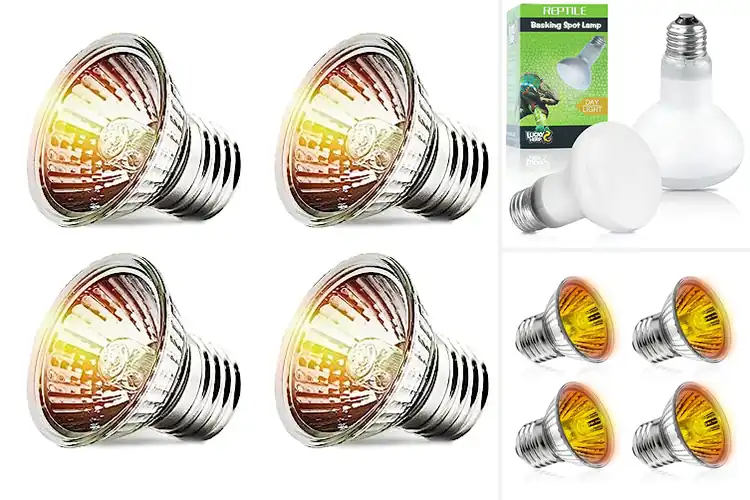 Detailed view of Best UVA Bulbs: Top Picks for Reptile & Amphibian Health
