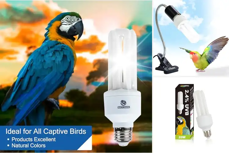 Detailed view of Best UVA UVB Lights For Birds