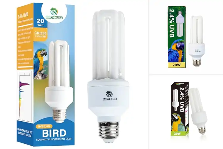 Detailed view of Best UVB Bird Light Bulbs: Top Picks for Your Pet’s Health
