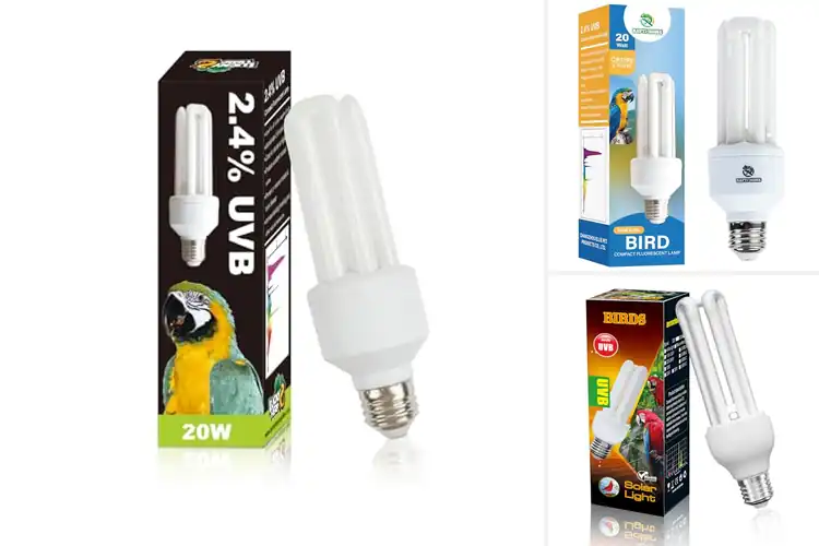 Detailed view of Best UVB Bulbs for Bird Cages: Simple Guide for Happy Birds