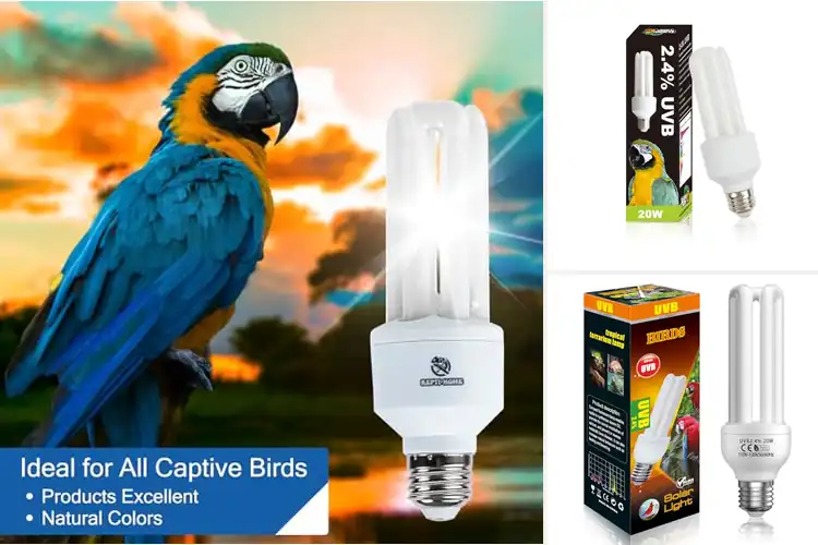 Detailed view of Best UVB Bulbs For Birds: Top 10 Picks for Health & Vitality