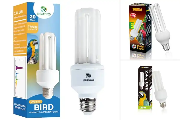 Detailed view of Best UVB Bulbs for Captive Birds