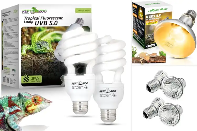 Detailed view of Best UVB Bulbs for Pets: Top 10 Picks for Healthy Reptiles