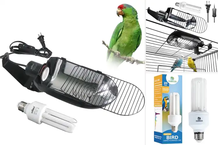 Detailed view of Best UVB Lamps for Bird Cages: Enhance Your Birds’ Health