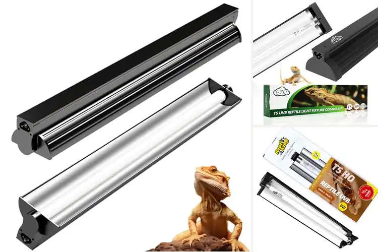 Detailed view of Best UVB Lamps
