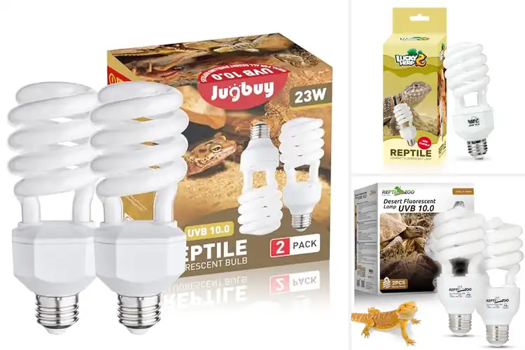 Detailed view of Best UVB Light Bulbs