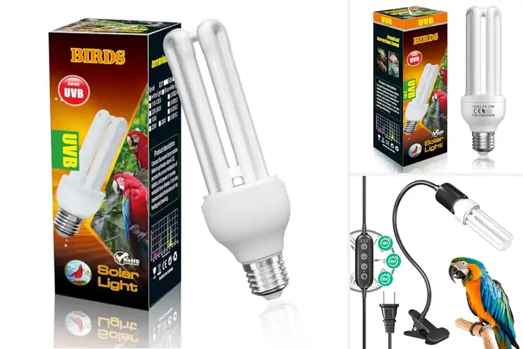 Detailed view of Best UVB Light To Stimulate Natural Foraging