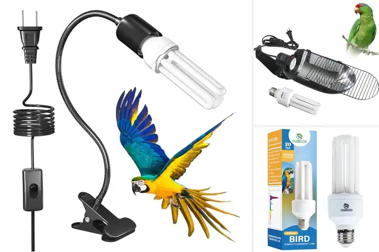 Detailed view of Best UVB Lighting For Birds