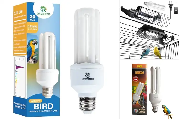 Detailed view of Best UVB Lights for Birds