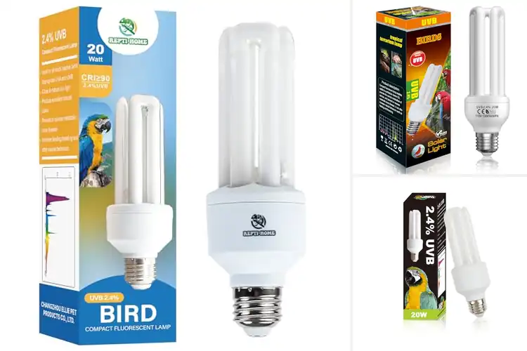 Detailed view of Best UVB UVA Bulbs for Captive Birds