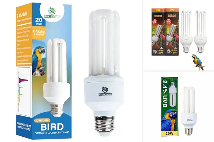 Detailed view of Best UVB UVA Light Bulbs for Parrots