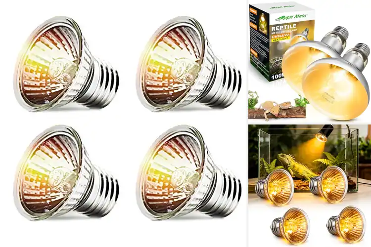 Detailed view of Best UVB UVA Regulation Bulbs