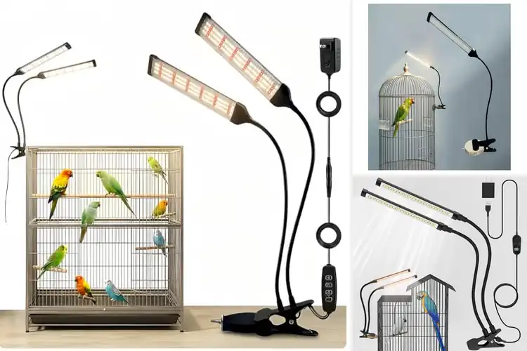 Detailed view of Best Vitamin D3 Supplementing Lights For Birds