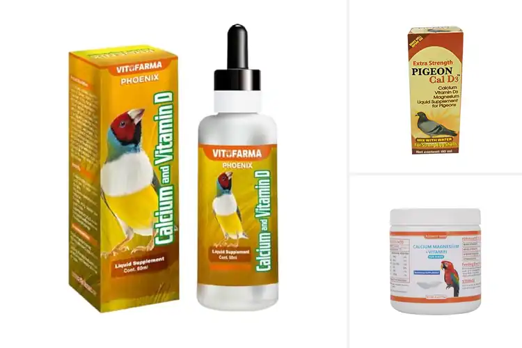 Detailed view of Best Vitamin D3 Synthesis Support For Birds