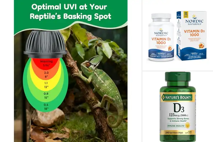 Detailed view of Best Vitamin D3 Synthesis Support Light